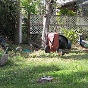 Picture 024